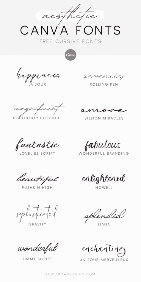 Swipe this free cursive letters font guide and reach the full potential of your designs with the top cursive fonts available on Canva. From cool and contemporary to classic and romantic, find the perfect font to make your projects stand out. Get started now and transform your creations with beautiful typography. Can A Font Combos, Canva Fonts Combinations Wedding, Canva Wedding Font Combinations, Canva Fonts For Business, Elegant Fonts Canva, Elegant Canva Fonts, Cool Cursive Fonts, Cursive Canva Fonts, Wordpress Fonts