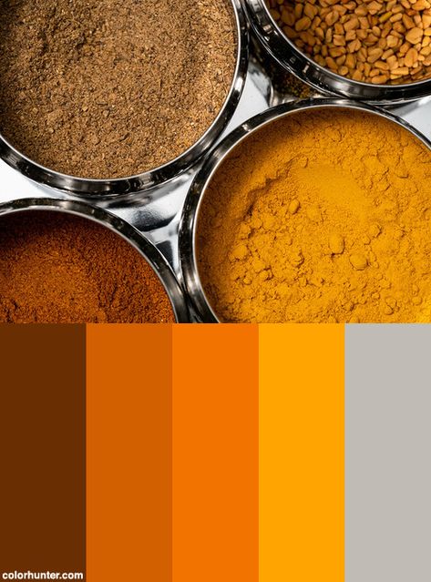 Indian Spices Color Scheme from colorhunter.com India Color Palettes, Indian Colors Palette, Traditional Indian Colour Palette, Spices Color Palette, India Color Palette, Indian Colour Palette, Indian Color Palette, Indian Branding, Tamil History