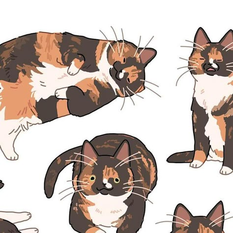 Tortoise Cat Drawing, Tortoise Shell Cat Drawing, Tortoiseshell Cat Drawing, Tortoiseshell Cat Art, Tortie Cat Drawing, Tortoise Shell Cats, Tortoiseshell Cat Tattoo, Tortie Cat Art, Tortoiseshell Cat Aesthetic