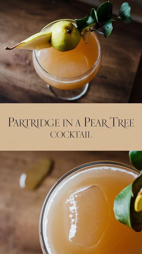 Partridge in a Pear Tree Cocktail Recipe for the Holidays Pear Holiday Cocktail, Partridge In A Pear Tree Cocktail, Partridge In A Pear Tree Christmas Decor, Pear Cocktail, Pear Cocktails, New Years Cocktails, True Christmas, Pear Puree, Vodka Wine