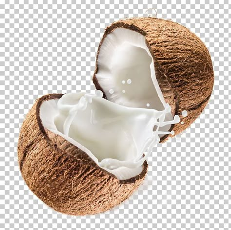 Coconut Packaging, Coconut Icon, Coconut Images, Milk Png, Water Png, Coconut Fruit, Photo Elements, Coconut Milk Powder, Graphic Design Flyer