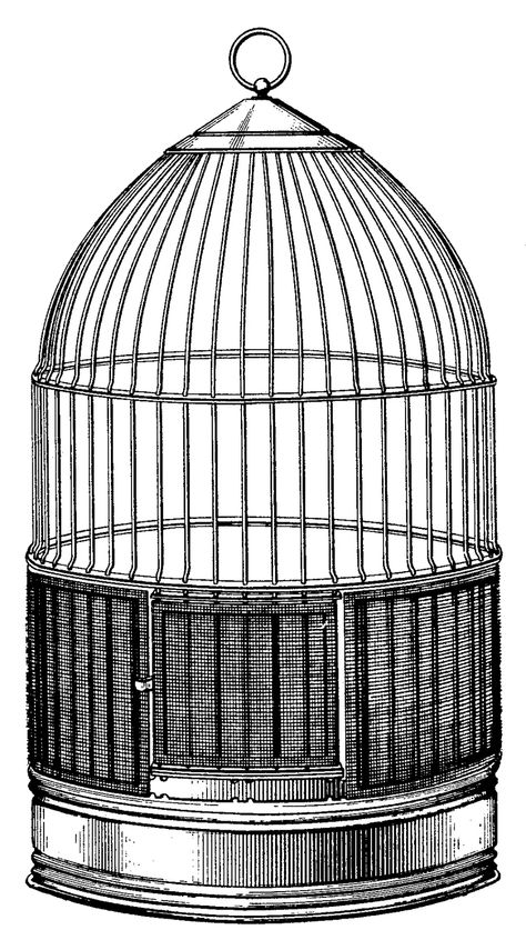 Bird Cage Illustration, Bird Cage Drawing, Cage Drawing, Vintage Birdcage, Steampunk Bird, Space Helmet, All Crafts, Bird Cage Decor, Vintage Bird Cage