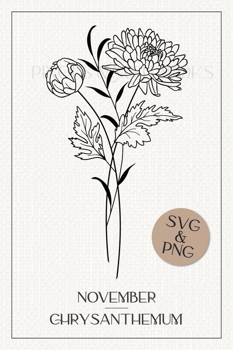 Birth Flower For November, November Flower Drawing, November Tattoo Ideas Birth Month, November Birth Flower Drawing, Birth Flower November Tattoo, Chrysanthemum Line Drawing, Christhamum Flower Tattoo, Crsanthmum Flower Tattoo, Mum Flower Drawing