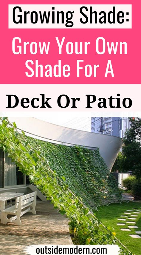 Adding Shade To Backyard, Natural Shade Garden, Shade Ideas, Garden Shade, Shade Cloth Garden, Garden Sun Shade, Porch Shades, Portable Shade, Triangle Sun Shade