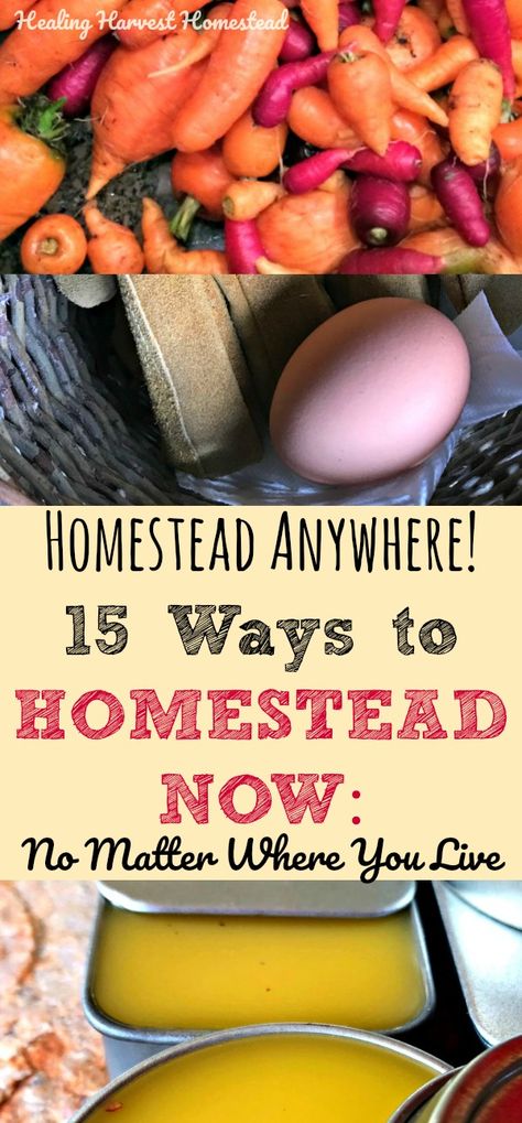 Homesteading Must Haves, Homestead Must Haves, Homesteading Essentials, Homestead 101, Homestead Tools, Mountain Homestead, Hobby Farming, Farming Life, Genealogy Websites