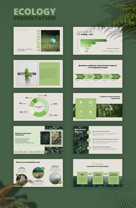 ECOLOGY presentation Ecology Design Graphics, Sustainability Presentation Design, Organic Presentation Design, Green Presentation Design, Sustainability Presentation, Sustainable Presentation, Presentation Powerpoint Design, Green Presentation, Powerpoint Examples