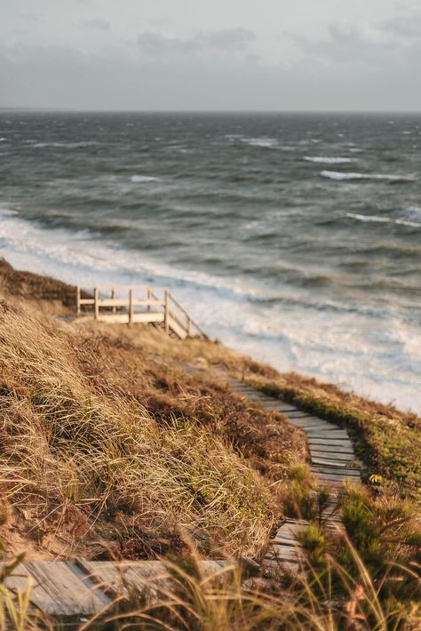 Coastal Landscape Photography, Beach Fall Aesthetic, Cold Summer Aesthetic, Cold Beach Aesthetic, Massachusetts Beaches, Massachusetts Landscape, Winter Beach Aesthetic, Cape Cod Winter, Cape Cod Landscape