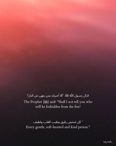 Kind kindness quotes Prophet Quotes, Prophet Mohammed, Prophet Muhammad Quotes, The Beauty Of Islam, Short Islamic Quotes, Muhammad Quotes, Best Quran Quotes, Soothing Quotes, Best Islamic Quotes