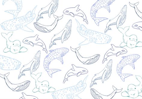 Shark Wallpaper, Wallpaper Notebook, Cute Wallpapers For Ipad, Cute Laptop Wallpaper, Ipad Background, Desktop Wallpaper Art, Cute Desktop Wallpaper, Mac Wallpaper, Tablet Wallpaper