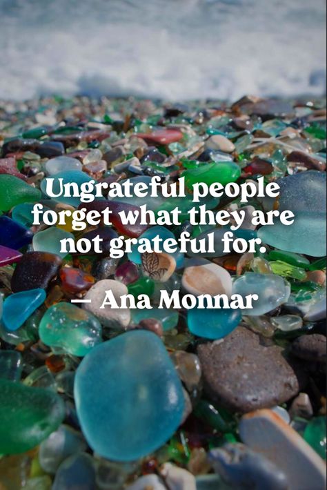 #tinypond #ungrateful #unthankful #entitled #selfabsorbed Ungrateful People, Self Absorbed, Literary Quotes, Quotes