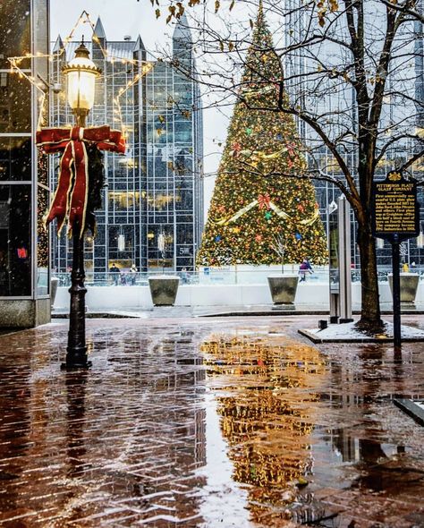 My beautiful hometown, Pittsburgh at Christmas time. 🎄🎄🎄🎄🎄🎄 - Courtesy of Photographer Dave DiCello Pittsburgh Pride, Christmas World, Pittsburgh City, University Of Pittsburgh, Steel City, Pittsburgh Pennsylvania, The Embrace, Road Trip Usa, Christmas Love