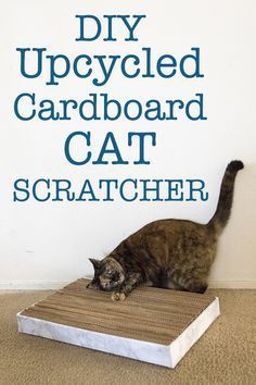 DIY Upcycled Cardboard Cat Scratcher: Reuse all those shipping boxes into this cute cat scratcher your pets are sure to love! Diy Cat Scratcher, Chat Diy, Cardboard Cat Scratcher, Cardboard Cat, Cats Stuff, Diy Cat Toys, Cat Scratchers, Cat Spray, Homemade Cat