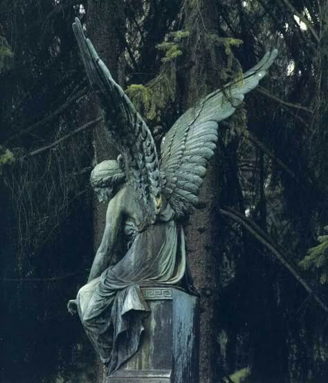 Sculpture Angel, Cemetery Angels, Cemetery Statues, Weeping Angel, Greek Statues, Angel Statue, Angel Sculpture, Cemetery Art, Ange Demon