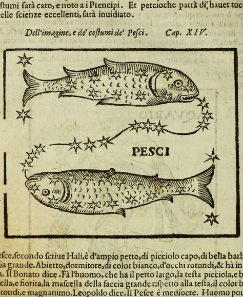 Horoscope Drawings, Astrological Art, Ancient Zodiac, Pisces Fish, Pisces Tattoos, Star Illustration, Astrology Art, Two Fish, Occult Art