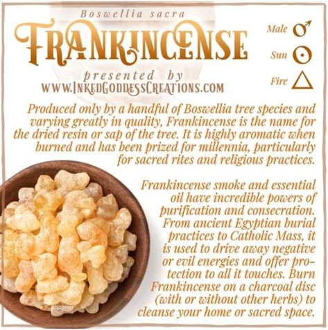 Frankincense Magical Properties, Intuitive Witch, Witchcraft Spirituality, Magical Correspondences, Medicinal Herbs Garden, Magickal Herbs, Magic Herbs, Magical Herbs, Herbal Healing