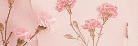 Pink Notion Cover, Peach Header, Pink Aesthetic Header, Pink Twitter Header, Flower Header, Pink Header, 트위터 헤더, Twt Header, Cute Twitter Headers