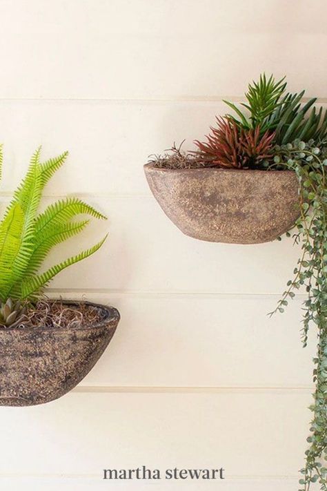 These ceramic wall planters feature a semi-circle design that are perfect for your home. The subtle, neutral hues ensure they'll fit in with your décor. #gardening #gardenideas #garden #containergardening #marthastewart Wall Planters Outdoor, Diy Wall Planter, Galvanized Metal Wall, Succulent Wall Planter, Metal Wall Planters, Wall Mounted Planters, Wall Planters, Copper Planters, Succulent Wall