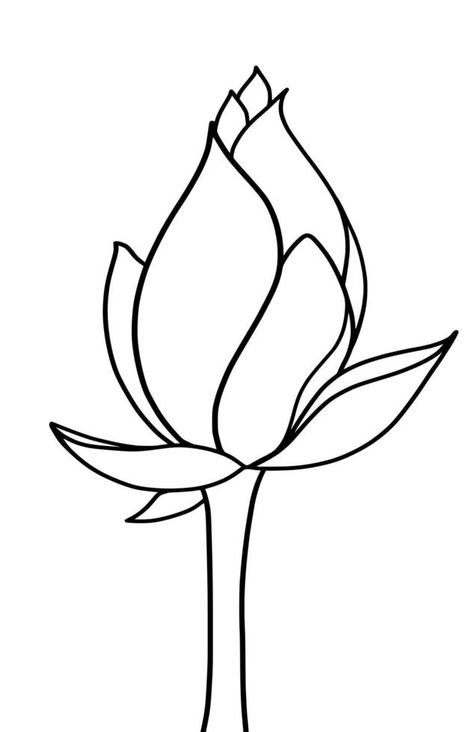 outline lotus flower isolated on white background. vector illustartion Lotus Outline, Vector Technology, Vector Background, Lotus Flower, White Flowers, Lotus, White Background, Vector Free, Clip Art