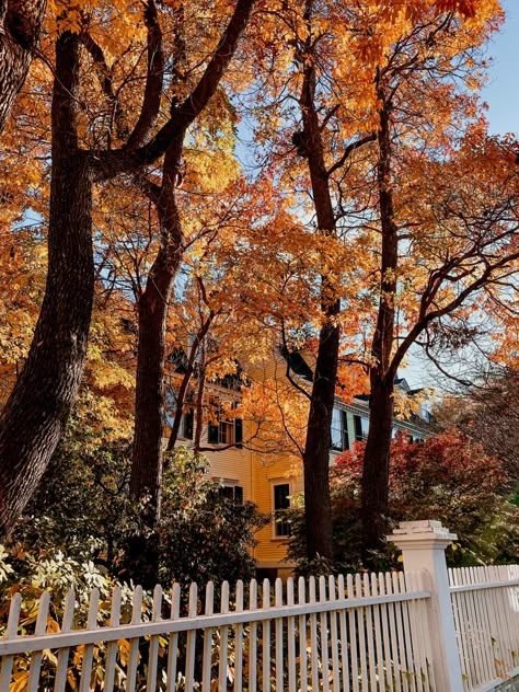 house with white picket fence and colorful fall trees, orange, yellow, green. salem, massachusetts in new england. Salem Massachusetts Autumn, Hallmark Autumn Aesthetic, Sunny Fall Aesthetic, Spooky Autumn Aesthetic, Salem Autumn, New England Fall Aesthetic, Salem Massachusetts Aesthetic, Salem Aesthetic, Salem Fall