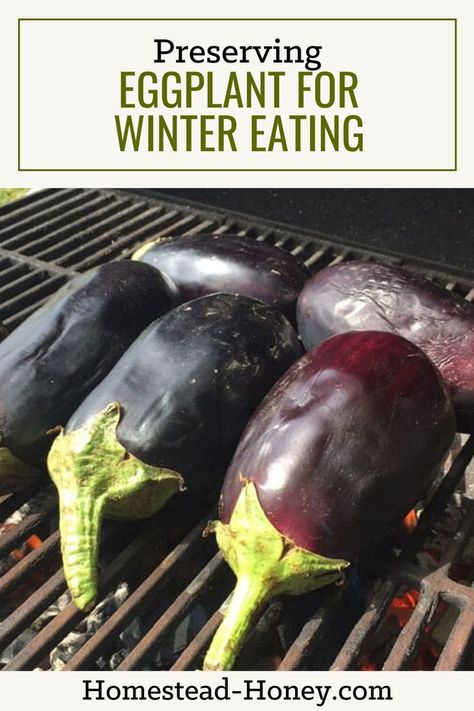 Do you love eggplants as much as I do? They are such a seasonal food, only available in the hottest of summer months, and taste delicious in so many ways – in curries, roasted, grilled, and mixed up in dips and spreads like zacusca or baba ganoush. Here's how to preserve them for use over winter. Preserving Eggplant, Canning Eggplant, Freezing Eggplant, Dehydrating Eggs, Babaganoush Recipe, Dips And Spreads, Dehydrating Food, Future Planning, Tomato Jam