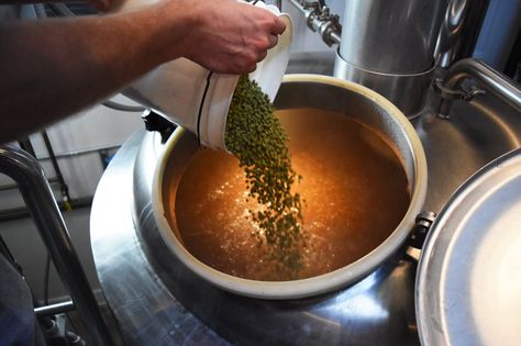 Brewery Photography, Beer Shot, Making Beer, Brew Master, Beer Photography, Beer Photos, Beer Making, Brewing Beer, Brewing Process