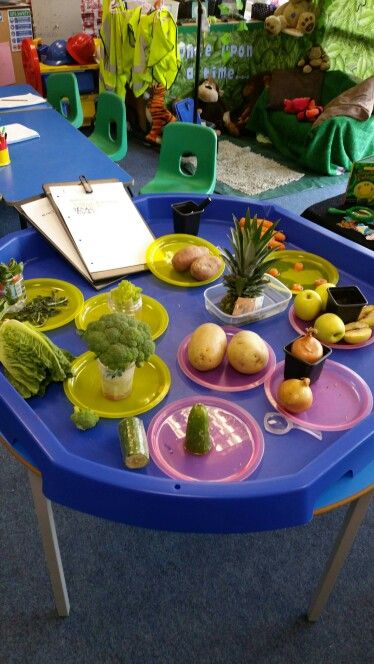 We have been predicting which fruit and vegetables would re-grow, we observed and made notes over 2 weeks in the tuff tray. Olivers Vegetables, Tuff Tray Ideas Toddlers, Vegetable Drawing, Toddler Ideas, Fall Kindergarten, Activities Ideas, Tuff Tray, Fall Fruits, Tray Ideas