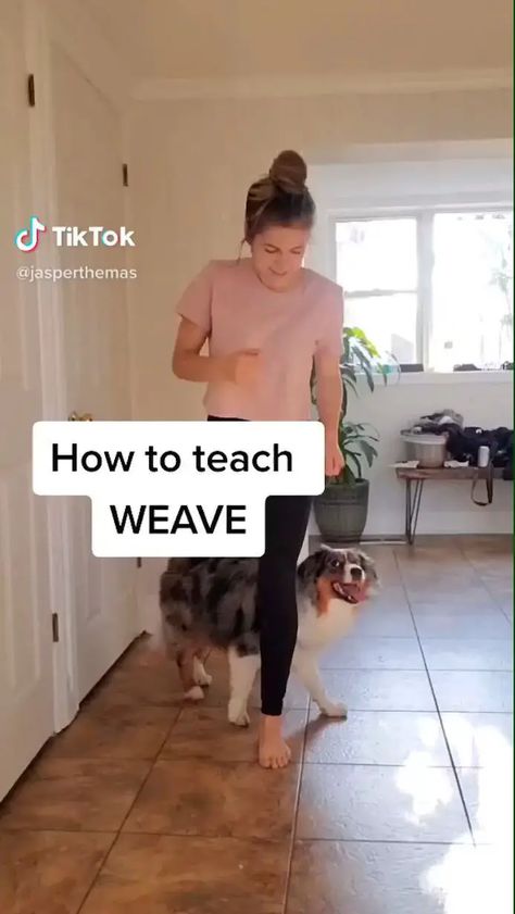 How to teach weave Cool Dog Tricks, Teach Dog Tricks, Agility Training For Dogs, Dog Tricks, Training Dogs, Dog Hacks, Dog Agility, Bucket Lists, Pet Stuff