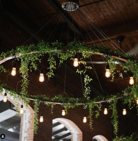 Plant Ceiling Decor, Moss Ceiling, Plant Chandelier, Cob House Plans, Industrial Decor Living Room, Luminaria Diy, Celing Light, Circle Chandelier, Salon Lighting