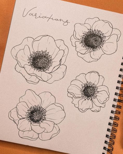 ✨ swipe for anemone flower variations ✨ Here’s a quick tutorial on how to draw an Anemone! Are there any other flowers you guys want to… | Instagram Anemone Line Drawing, How To Draw Anemone Flower, Flower Brain Drawing, Anemone Embroidery, Anemones Flower, Anemone Drawing, Anemone Flower Drawing, Anemone Flower Tattoo, Anemone Tattoo