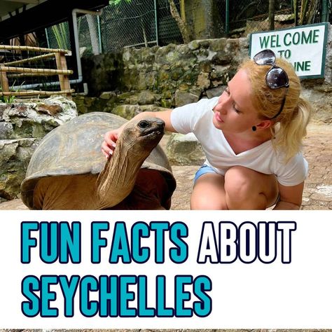 23 Most interesting facts about Seychelles that you didn’t know (but should) (2024) Saltwater Crocodile, Itinerary Planning, Arizona Travel, Rock Pools, Beaches In The World, Archipelago, Travel Packing, Beach Sand, Travel Insurance