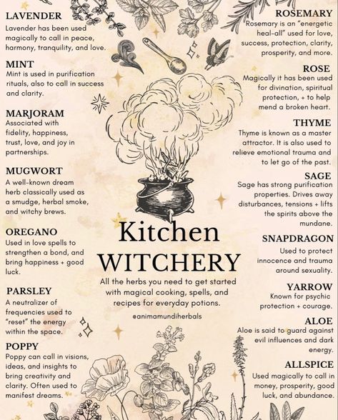 Herbal Witch, Herbs List, Magickal Herbs, Witch Herbs, Medical Herbs, Witch Spirituality, Magic Herbs, Kitchen Witchery, Wiccan Spell Book