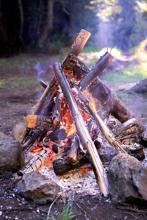 Campfire Centerpiece, Campfire Diy, Fake Campfire, Infinity Photography, Fake Fire, Red Christmas Lights, Summer Camp Themes, Fake Fireplace, Fake Rock