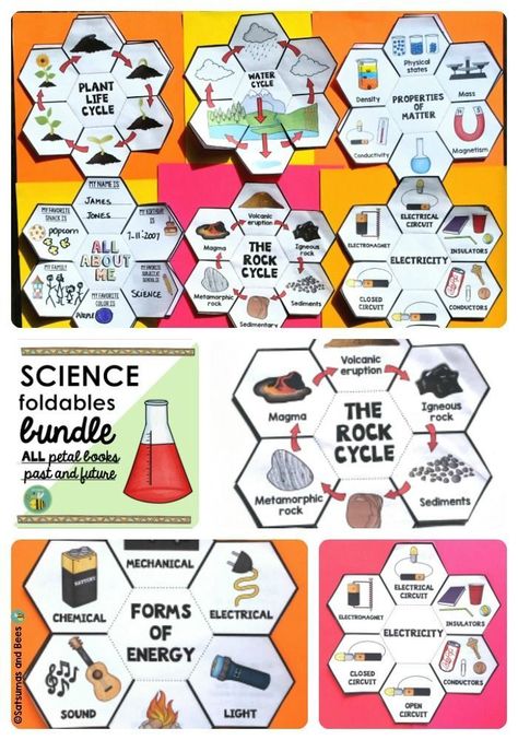 Grade 6 Science, Science Interactive Notebooks, Science Foldables, Science Materials, Science Penguin, Science Anchor Charts, Science Notebook, Interactive Science, Science Notebooks