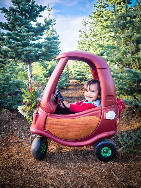 Repainted a mini coupe a Burgundy spray paint. Added some brown contact paper from Amazon. Put a wreath on front and a bow on the back. Then, headed to the Christmas tree farm for a great background! Christmas Cozy Coupe, Cute Christmas Pictures, Car Makeover, Cozy Coupe Makeover, Christmas Cozy, Christmas Car, Tree Farm, Christmas Vacation, Christmas Photo