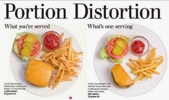 http://healthyrestaurantchanges.blogspot.com/2014/03/rsvp-history-of-portion-distortion.html Proper Plate Portions, Plate Portions, Portion Distortion, Food Portion Sizes, Healthy Grocery List, Portion Sizes, Always Hungry, Food Places, How To Eat Less