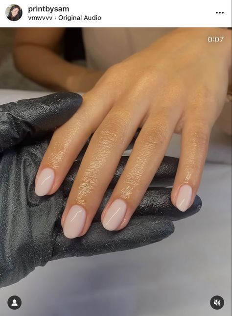 Shellac Nails Neutral Classy, Neutral Short Nails Classy, Short Biogel Nails, Nail Shapes For Short Nail Beds, Acrylic Nails Neutral Colors, Cute Short Oval Nails, New Mom Nails, Nail Ideas For Wedding Guest, Simple Wedding Guest Nails