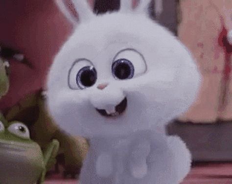 Secret Life Of Pets Snowball, Secret Life Of Pets, Secret Life, Animated Gif, The Secret, Gif