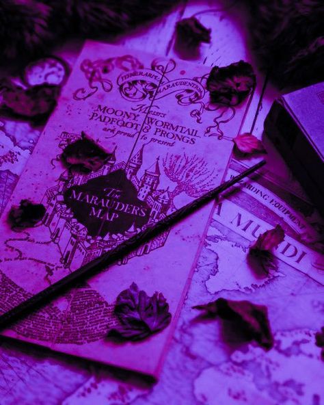 Purple Hogwarts Aesthetic, Dark Purple Witch Aesthetic, Witchy Purple Aesthetic, Reddish Purple Aesthetic, Purple Harry Potter Aesthetic, Dark Purple Academia, Harry Potter Purple Aesthetic, Purple Library Aesthetic, Dark Magic Aesthetic Purple