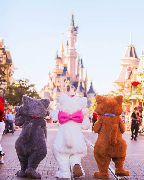 Disney Mignon, Disneyland World, Disney Parque, Disney World Pictures, Images Disney, Cute Disney Pictures, Disney Photography, Wallpaper Laptop, Disney Aesthetic