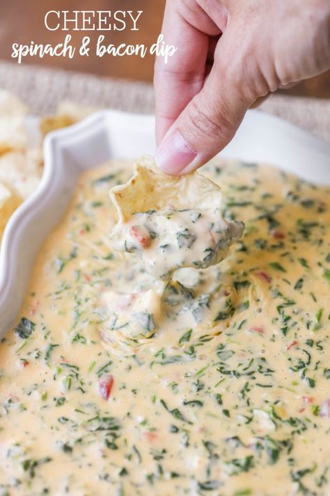 Cheesy Spinach and Bacon Dip - one of the easiest and most delicious dips you'll ever make! All it takes is cream cheese, Velveeta, spinach, diced tomatoes, and bacon!! International Appetizers, Spinach Bacon Dip, Spinach And Bacon, Delicious Dips, Cheesy Spinach, Bacon Dip, Beer Cheese Dip, Dip Recipes Easy, Buffalo Chicken Dip