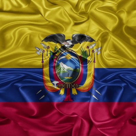 Ecuador Flag, 3d Png, Cristiano Ronaldo 7, Helluva Boss, Hazbin Hotel, Eu Flag, Ecuador, Country Flags, Dj