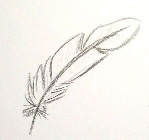 Plume Tattoo, Body Henna, Feather Sketch, Wings Sketch, Feather Drawing, Native Tattoos, Cool Pencil Drawings, Feather Tattoos, Easy Drawings Sketches