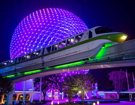 Disney Savings, Monorail Lighting, Disney Transportation, Disney Resort Hotels, Disney World Tickets, Spaceship Earth, Disney Epcot, Disney Day, Walt Disney World Vacations