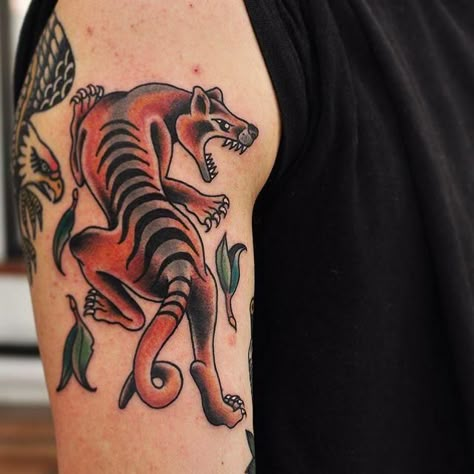 Tiger Traditional Tattoo, Tiger Tattoo Ideas, Tiger Tattoo Designs, Australian Tattoo, Melbourne Tattoo, Devil Tattoo, Street Tattoo, Tiger Tattoo Design, Tasmanian Tiger