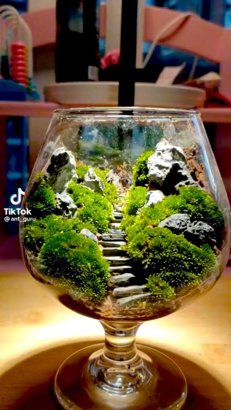 Takken Decor, Closed Terrarium Plants, Dekoratívne Vence, Diy Succulent Terrarium, Beautiful Terrariums, Mini Terrarium, Plant Care Houseplant, Succulent Garden Diy, Moss Terrarium