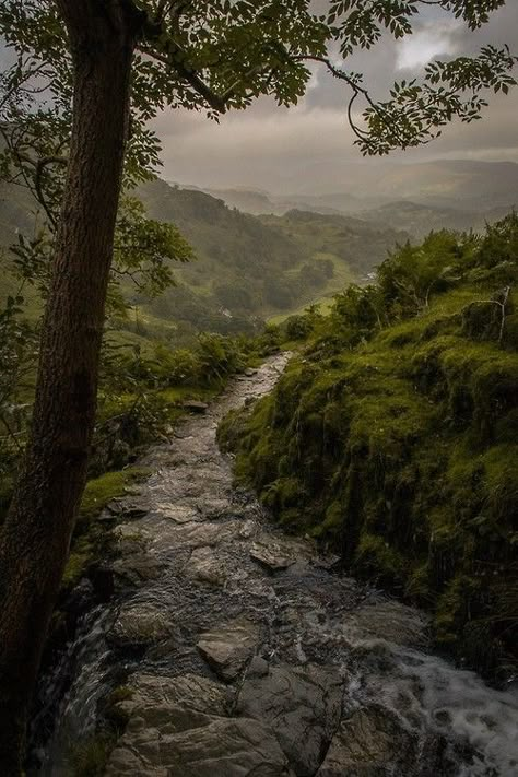 Landscape Edging, Landscape Photography Nature, Green Forest, Alam Yang Indah, Nature Aesthetic, Pretty Places, Green Aesthetic, Lush Green, Fantasy Landscape