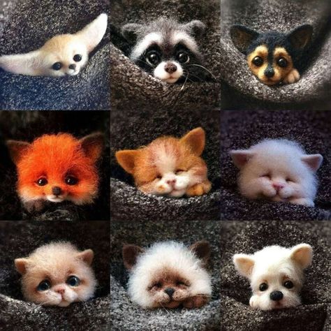 Wool Felting Animals, Diy Laine, Needle Felting Supplies, Pet Raccoon, Fox Dog, Diy Wool, Needle Felting Diy, Felted Wool Crafts, Wool Needle Felting