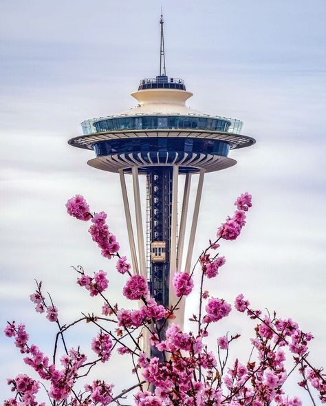 #Seattle Must See - Space Needle in Seattle #Washington, the most beautiful city in the Pacific Northwest. #WashingtonState #emeraldcity #spaceneedle #seattlewa #seattletourism #seattlecenter #62worldsfair #travelseattle #downtownseattle #pnw #cityofseattle Seattle Wallpaper, Seattle Space Needle, Seattle Style, Seattle Center, Seattle Usa, Washington Seattle, Space Needle Seattle, Seattle Travel, Make Things Happen