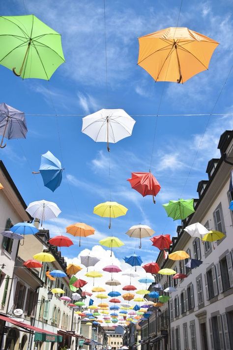 Umbrella covered street in Carouge, a neighborhood in Geneva, Switzerland Switzerland Summer, Umbrella Cover, Geneva Switzerland, Cute Doodles Drawings, Europe Summer, Northern Italy, Geneva, Switzerland, Umbrella