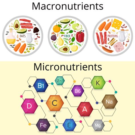 Macronutrients and micronutrients are vital to our nutrition to the body’s metabolism, growth, and development. They provide all the necessary elements to function, grow, repair, and regulate our bodies’ processes. It’s essential to know the right balance between these nutrients we require to work according to our level of energetic needs. Macronutrients And Micronutrients, Micronutrients Foods, Carbohydrates Biology, Nutrition Poster, Content Photos, Cellular Nutrition, Nutrition Facts Label, Best Beard Styles, Muscular Strength